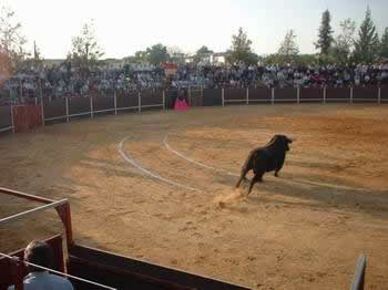 Gilberto H
